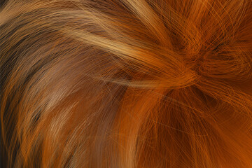 Fototapeta premium Brown Hair Blowing Closeup. Women's long brown hair. Beautifully styled wavy shiny curls. Hair coloring. Hairdressing procedures, extension.
