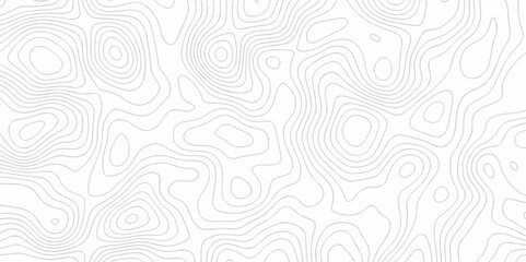 Topography wave line vector grid map. white wave line geography landscape Topo contour map on white background. Geographic mountain relief diagram line wave carve pattern.