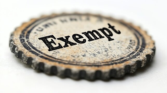 Exempt Coin A Currency of Art