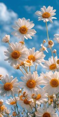 Fototapeta premium beautiful daisies in a field against blue sky. Summer happiness concept