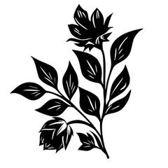 Silhouette floral leaves vector 
