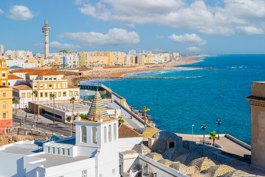 View of the city of C&aacute;diz from the Cathedral of Santa Cruz.