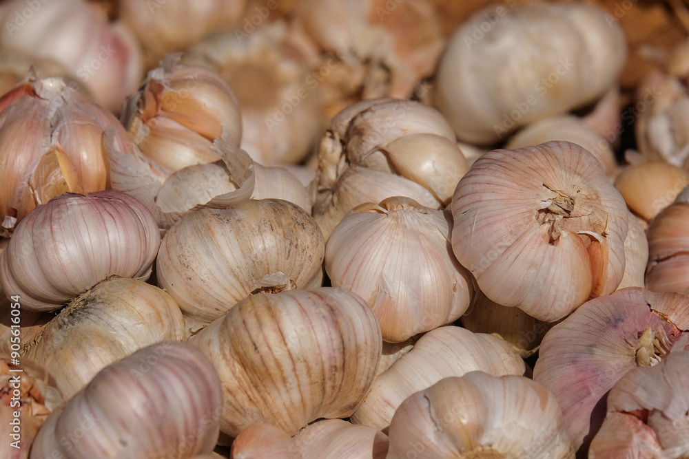 Poster pile of garlic with abstract shapes. garlic for cooking seasoning. abstract shapes, patterns and tex
