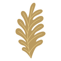 Isolated leaf icon Foliage Vector