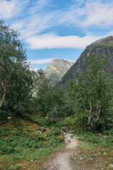 Fototapete bei efototapeten.de bestellen   