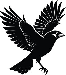 Silhouette of a bird flying with wings spread