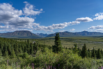  Denali National Park and Preserve, Alaska.  Savage River