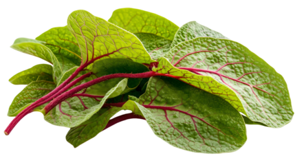 Fresh Amaranth Leaves Isolated on Transparent Background

