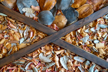 close up of a pile of dried mushrooms