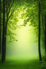 Obraz premium Serene forest pathway surrounded by lush greenery in soft morning light