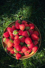 Summer in the garden: red strawberry fruits in a bowl on the grass