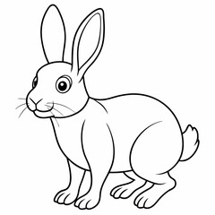 Animals rabbit  coloring  book outline