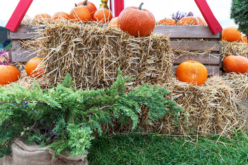 Rustic Autumn Decor Straw Bale and Pumpkins in a Fall Harvest Setting