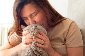 The owner hugs and kisses her cat. Gray Scottish straight cat. The closeness between a person and a pet.