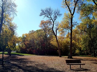 bench in autumn park