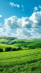 Idyllic Green Field and Hill Landscape Illustration Under a Bright Blue Sky, Evoking Serenity and Natural Beauty.