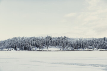 winter landscape with snow covered trees