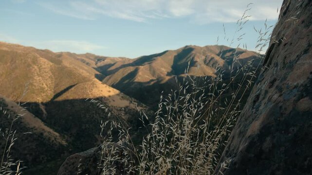 Dry grass next to rocks on mountain top near Winters california