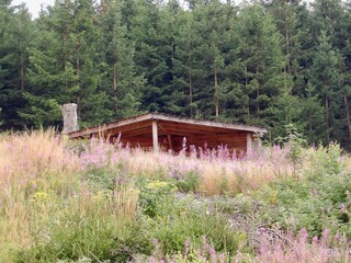 Stempelstelle 48 der Harzer Wandernadel Stierbergsteich