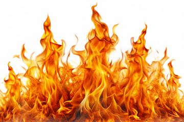 Fire flames on a transparent background