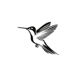 Fototapeta premium Hummingbird Line Art. Silhouette of Abstract Bird Logo in Trendy Line Style