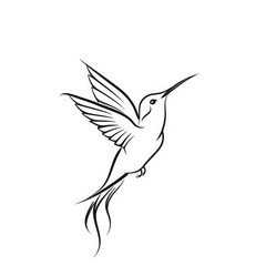 Fototapeta premium Hummingbird Line Art. Silhouette of Birds in Abstract Line Style on White Background