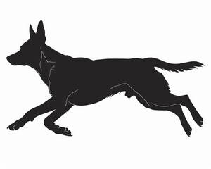 Obraz premium Silhouette of Belgian Malinois Dog Jumping and Running - Graphic Design for Logotype or Banner