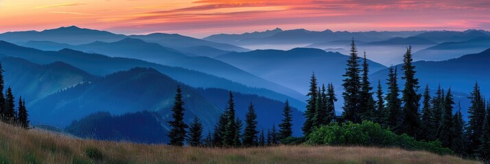 Obraz premium Olympic Peninsula. Beautiful Nature Park with Spectacular Mountain Range Sunset View