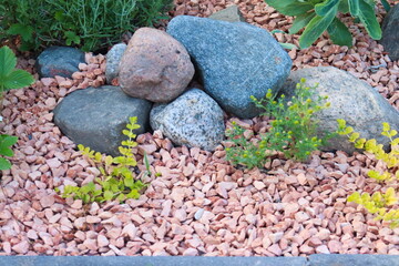 Decorative stones in the garden. Ornamental plants.