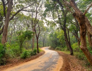 Obraz premium Unexplored path / Road less taken at Nagarhole national park, Karnataka, India. Bandipur forest. Curvy road ahead. Jungle safari searing wild animals. Tall trees, glomy weather, mysterious nature