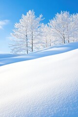 Obraz premium Snow covered landscape with frosty trees under clear blue sky in winter