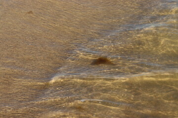 Beach in Poland in summer. A beach without people. Baltic Sea.