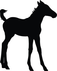 Foal silhouette
