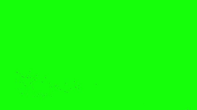 A flock of black birds flying freely from right corner, a group of pigeons chroma key green screen. Silhouettes of Migrating Birds in motion far in the sky. Sparrows or Swallows. For compositing VFX