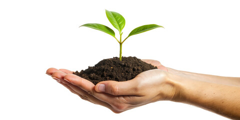 Hands Holding Young Plant Sprout with Soil on Black Background