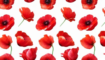 Fototapeta premium seamless pattern of red poppies isolated on a transparent background watercolor illustration clipart png