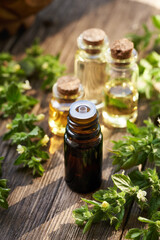 Several bottles of aromatherapy essential oil with fresh blooming melissa plant
