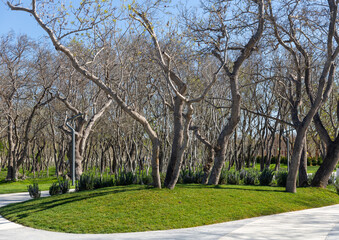 Molodezhny Park on the Thin Cape. Gelendzhik. Russia. 07.04.2024