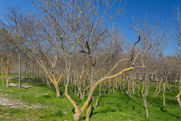 Molodezhny Park on the Thin Cape. Gelendzhik. Russia. 07.04.2024