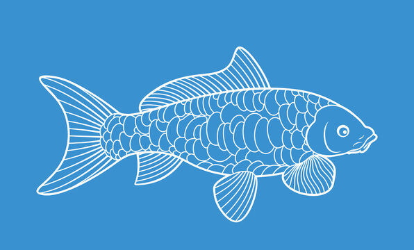 recommend clip art: Koi fish outline. Carp Koi logo