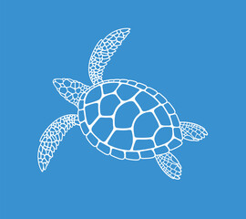 Fototapeta premium Sea turtle outline. Isolated turtle on white background. Reptile