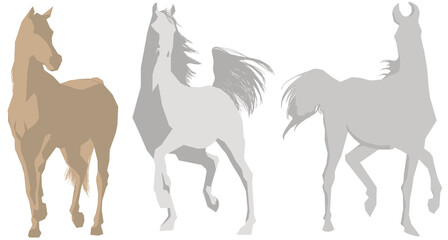 PNG, 10191px x 5462px, 300 DPI, transparenter Hintergrund © BreadlessPixels