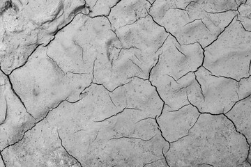 Drying but still wet dirty earth with cracks. Relief hilly light and shadow gray surface close-up. Abstract background