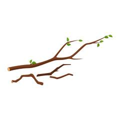 Tree branch pile with leaves and dry twigs in firewood collection vector illustration © lembergvector