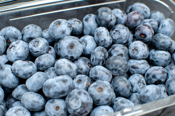 Fresh blueberry in plastic container	