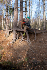 Loving female pet owner sitting on pine tree root with hound dog magyar vizsla, fondling and stroking. Middle-aged woman spending weekend, vacation in nature with beloved pet in autumn forest