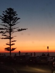 Tree overlooking ocean at Sunset with people watching. 