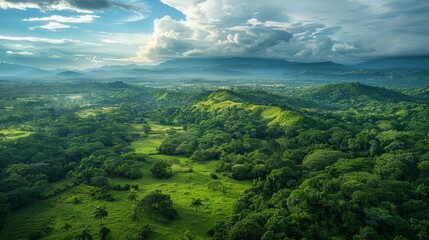 Obraz premium Costa Rica Wildlife, coastal plains, mountainous regions and lush tropical forests