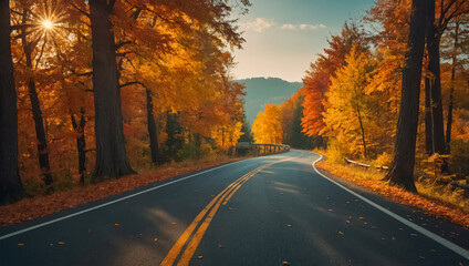 Obraz premium Asphalt road, beautiful autumn trees