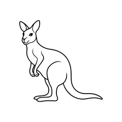 kangaroo art illustration